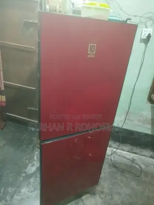 LG Butterfly Fridge