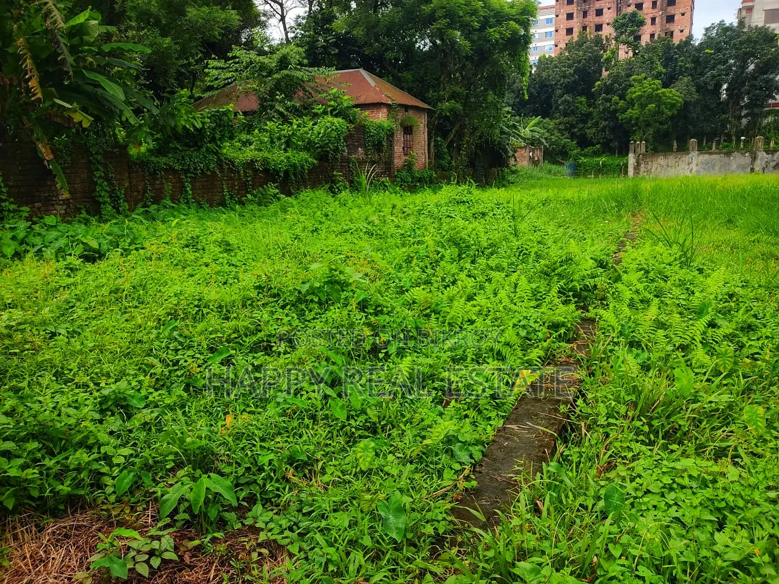 Land for sale in plot size in Savar at an affordable price