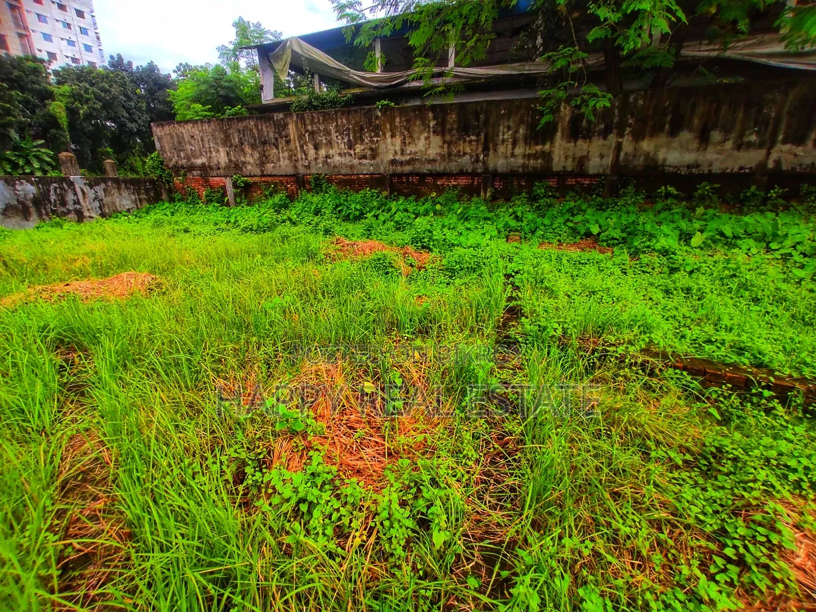Land for sale in plot size in Savar at an affordable price
