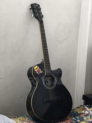 টিজিএম সেমি অ্যাকোস্টিক গিটার