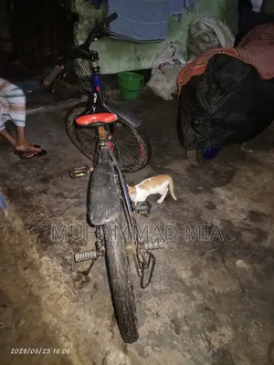 ব্যবহৃত বাইসাইকেল