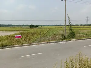 পায়রা তাপ বিদ্যুৎ ও পোর্ট সংলগ্ন ৬ লেন রাস্তার সাথে ২ একর জমি বিক্রি