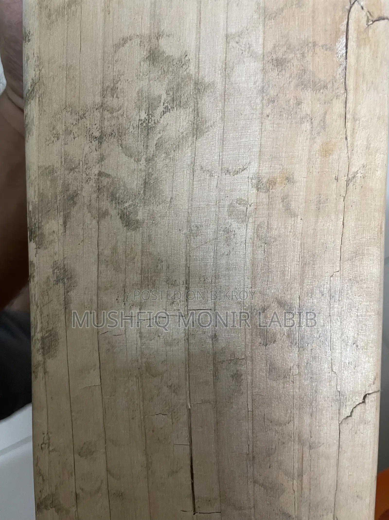 ডিএসসি ইংলিশ উইলো ক্রিকেট ব্যাট