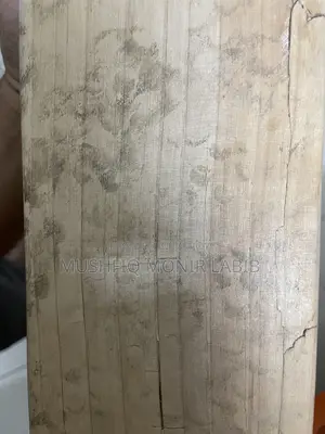 ডিএসসি ইংলিশ উইলো ক্রিকেট ব্যাট