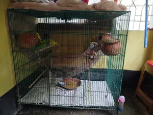 একটি পাখির খাচা সেল হবে