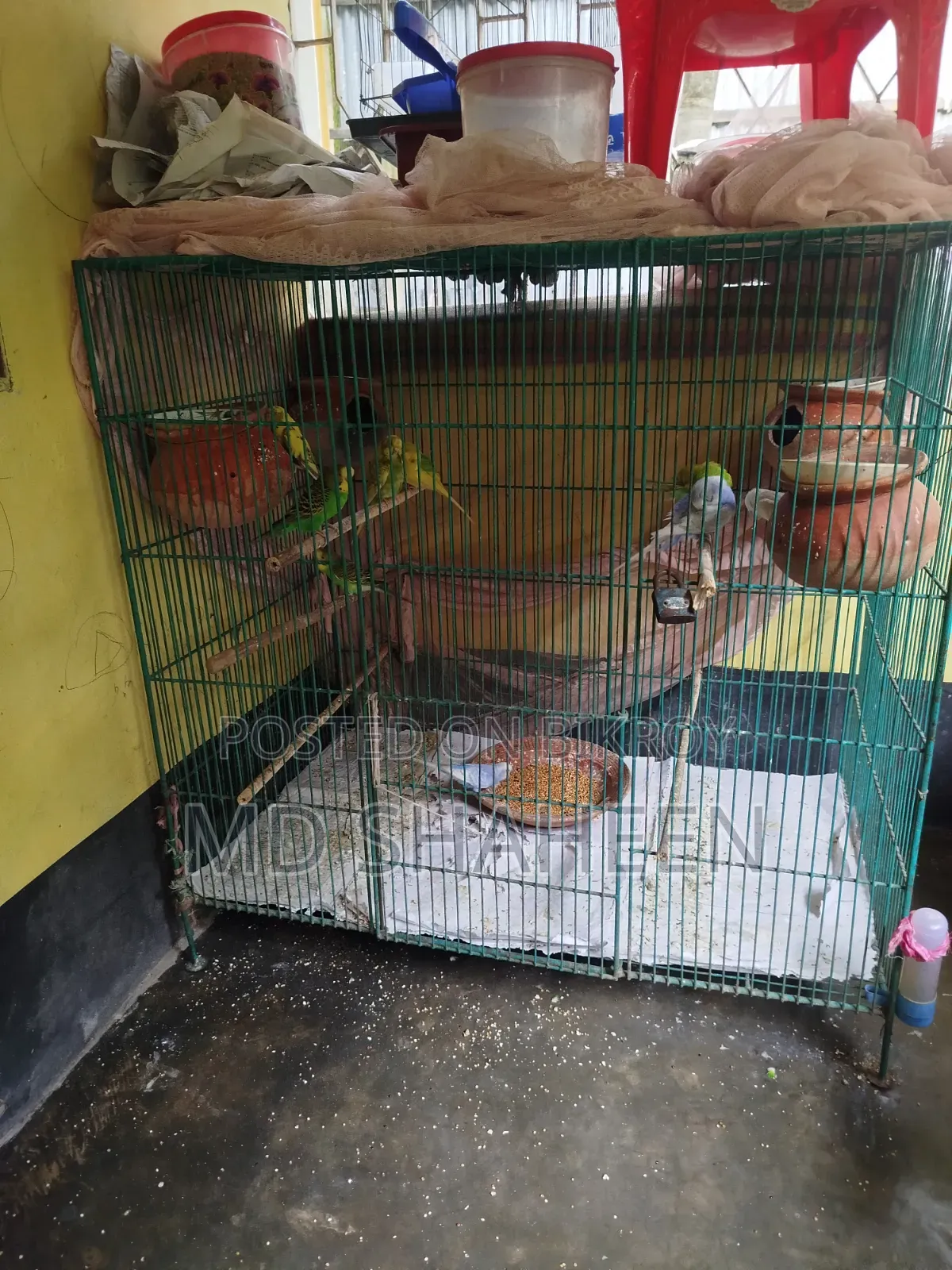 একটি পাখির খাচা সেল হবে