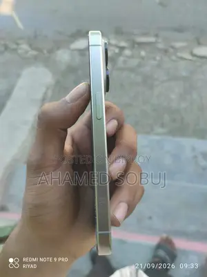 অ্যাপল আইফোন ১৫ প্রো ২৫৬ জিবি