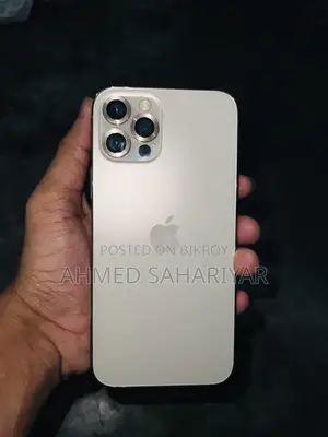 অ্যাপল আইফোন ১২ প্রো ২৫৬ জিবি রোজ গোল্ড