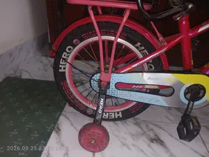 Hero Bicycle