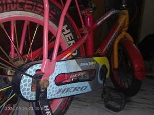 Hero Bicycle