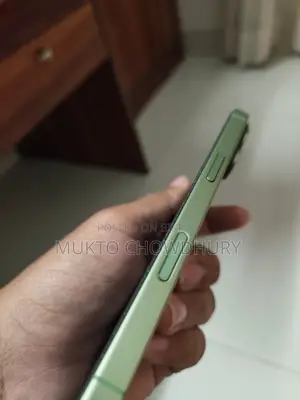 নতুন অ্যাপল আইফোন ১৭ ২৫৬ জিবি গ্রিন