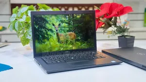 ল্যাপটপ ডেল ল্যাটিটিউড ৭৪৯০ 8GB ইন্টেল কোর আই৭ SSD 256GB