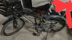 Phonix Bicycle