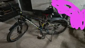 Phonix Bicycle