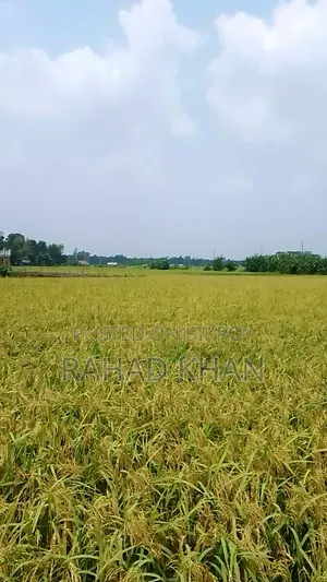 Land Selling