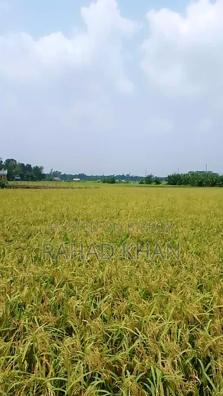 Land Selling