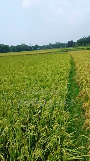 Land Selling