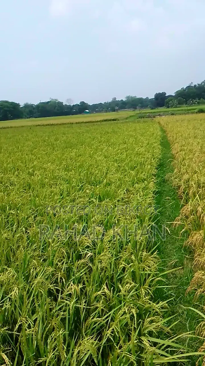 Land Selling