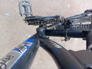 Venom Cycle