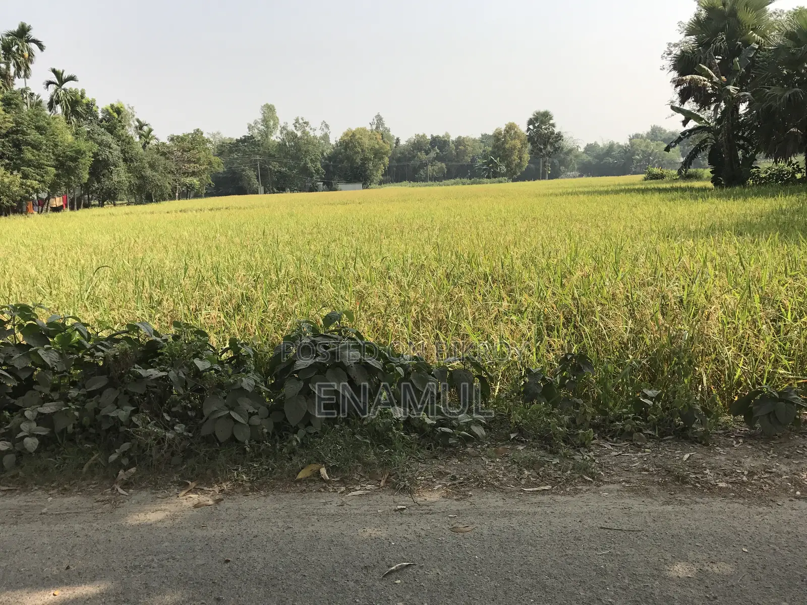 ৫ কাঠা জমি / বসুন্ধরা -পি ব্লক (পি এক্সটেনশন)