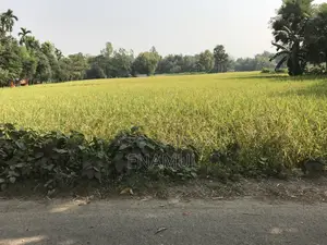৫ কাঠা জমি / বসুন্ধরা -পি ব্লক (পি এক্সটেনশন)