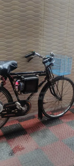 Electric cycle