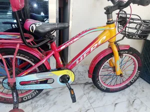 Hero Bicycle.