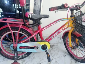 Hero Bicycle.