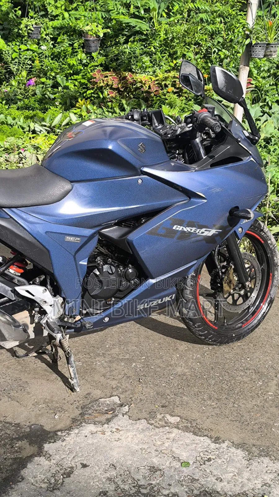Suzuki Gixxer SF 2024 Blue