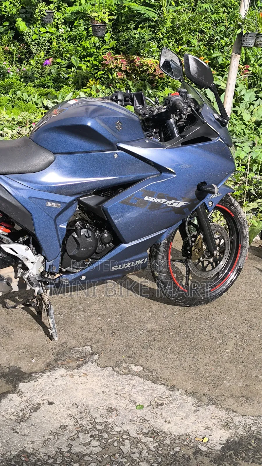 Suzuki Gixxer SF 2024 Blue