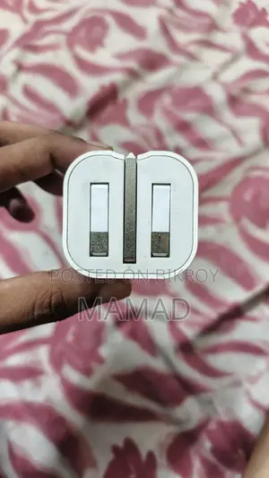 iPhone Original Charger