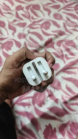 iPhone Original Charger