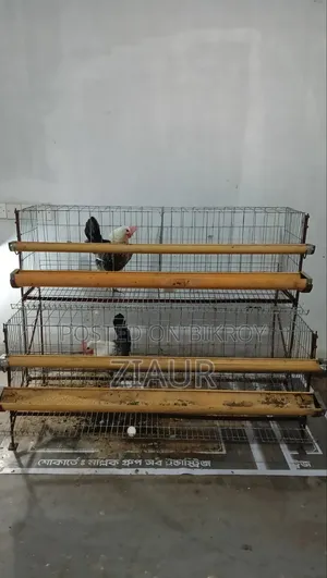 মুরগির খাঁচা