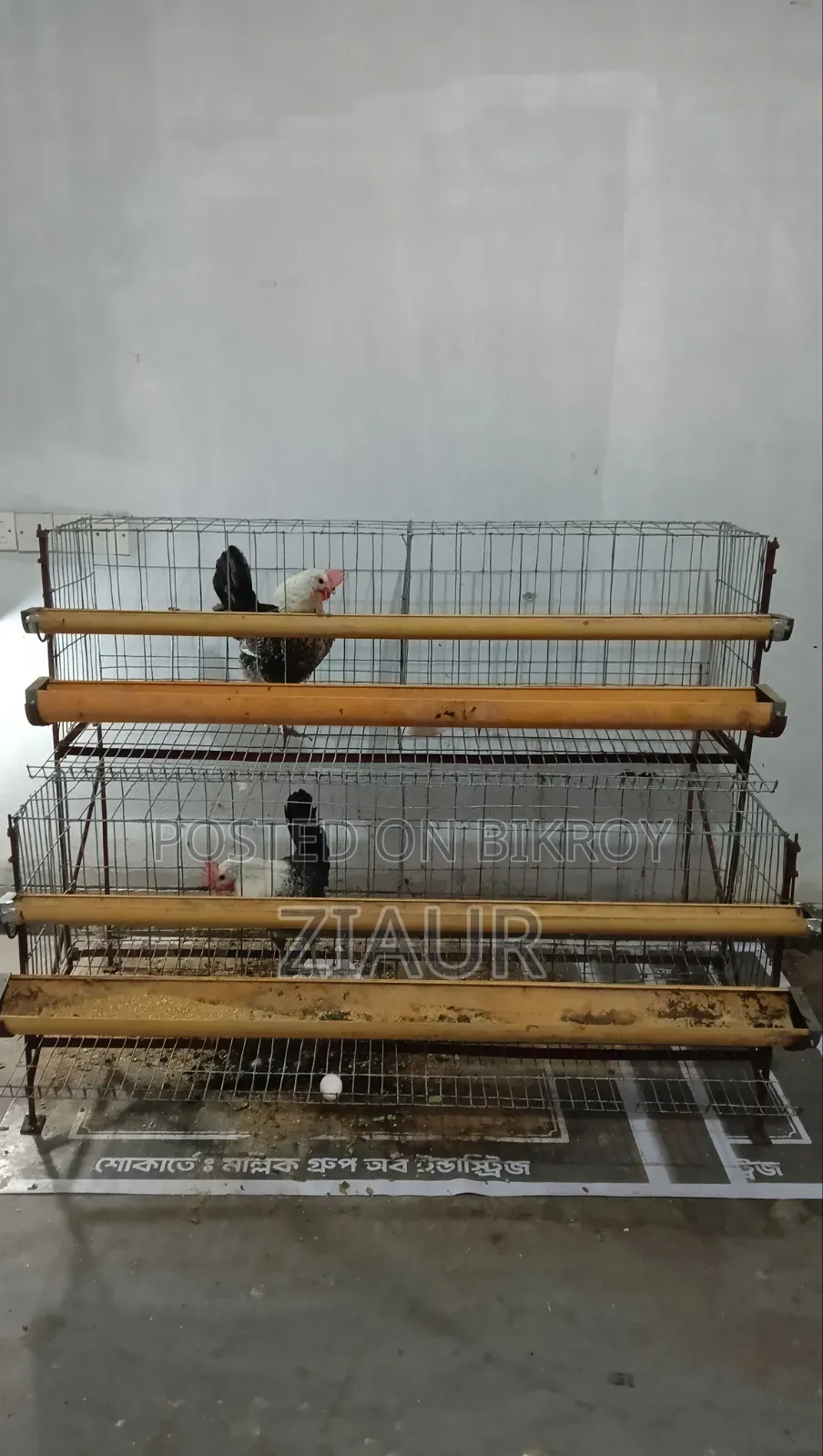 মুরগির খাঁচা