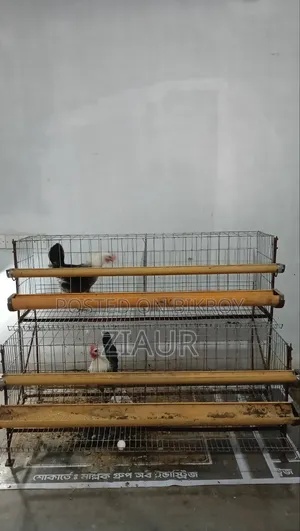 মুরগির খাঁচা