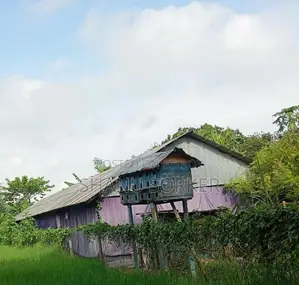 সিমেন্ট এর টিন,কাঠ,পিলার