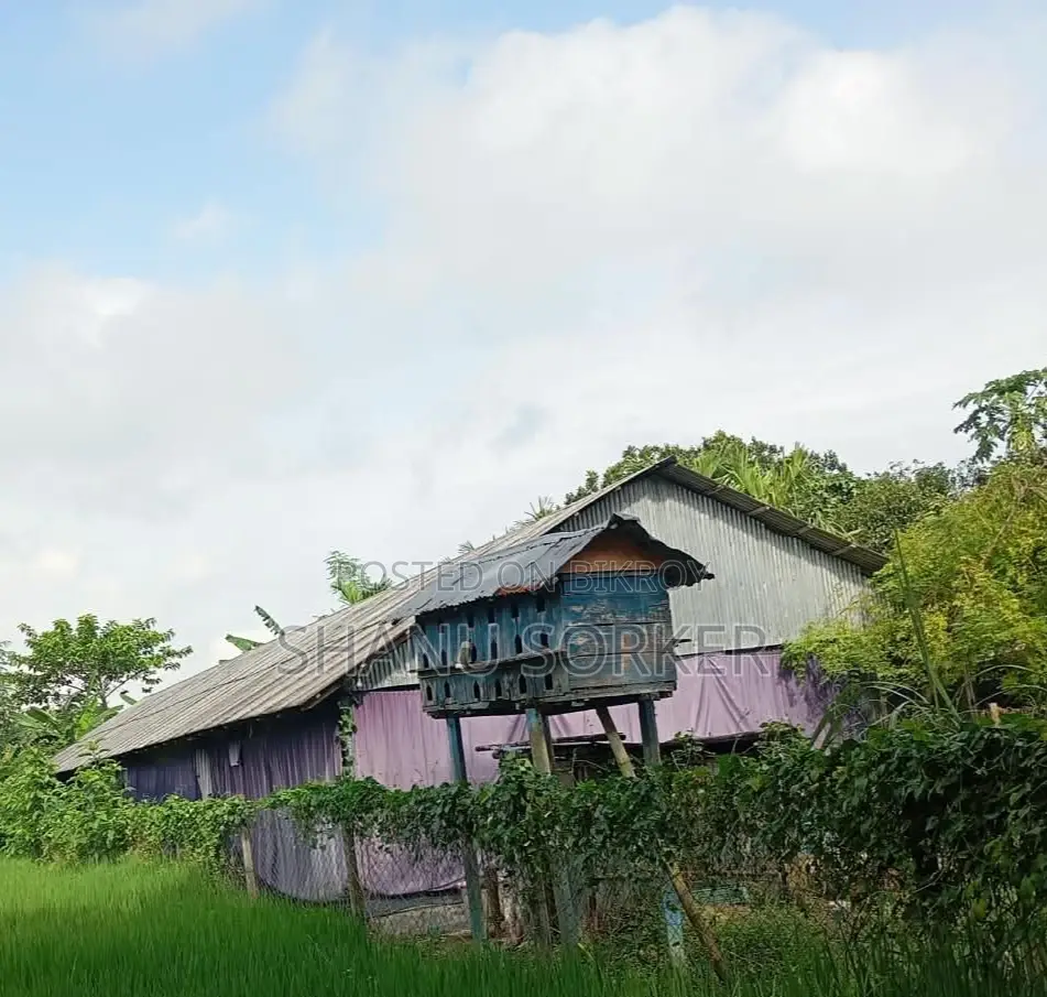 সিমেন্ট এর টিন,কাঠ,পিলার