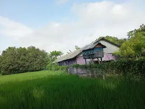 সিমেন্ট এর টিন,কাঠ,পিলার
