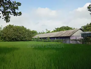 সিমেন্ট এর টিন,কাঠ,পিলার