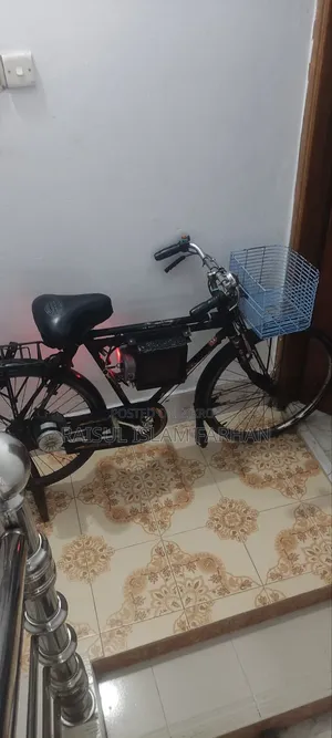 Electric bicycle for sale