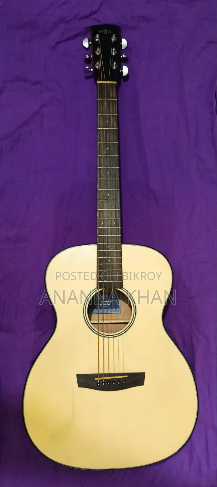 HEX HIVE F100M Acoustic Guitar- With Cover