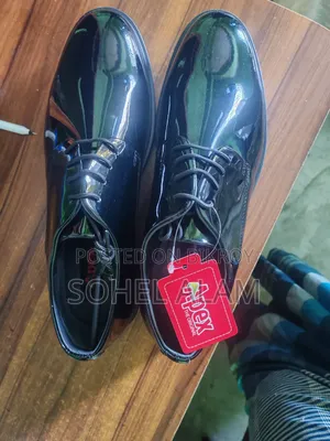 Apex Black Shine Shoe