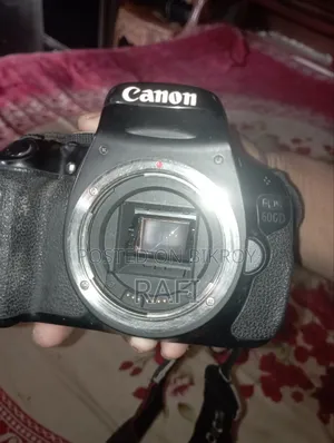 ক্যানন ৬০০ডি