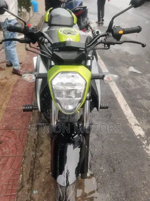 সুজুকি জিক্সার ২০২৫ গ্রে