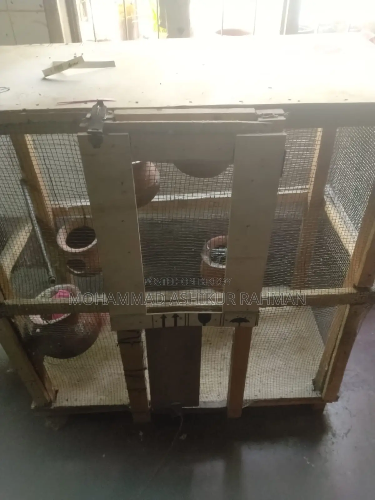 Bird Cage Colony House