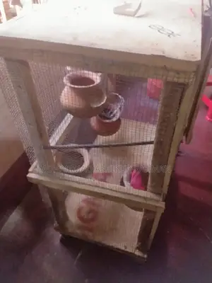 Bird Cage Colony House