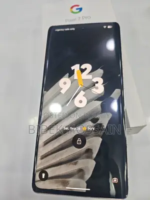 Google Pixel 7 Pro 256 GB Gray