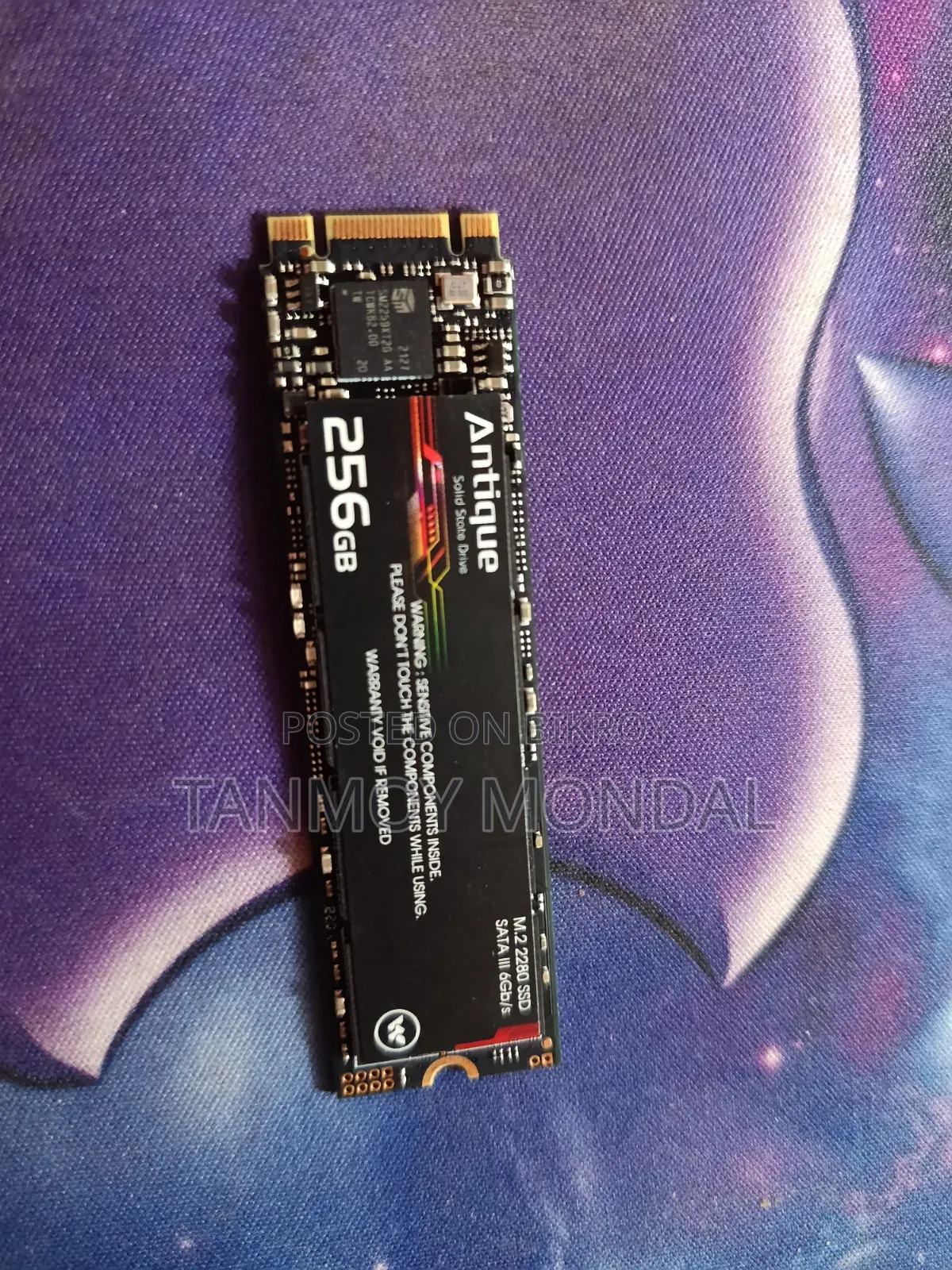 Walton 256GB Antique SATA M.2