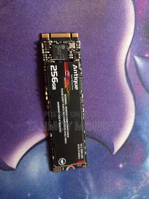 Walton 256GB Antique SATA M.2