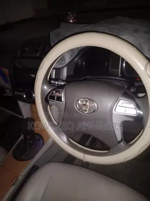 Toyota Premio 2009 Gray